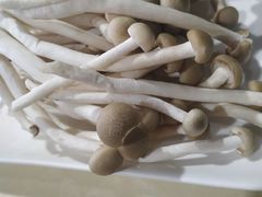 蟹味菇-和庆斋羊蝎子火锅·碳缸烧烤(顺义旗舰店)