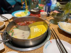 -青瓷火锅料理(西单大悦城店)