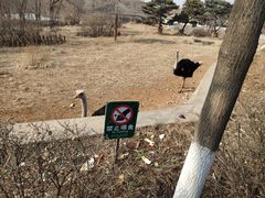 -沈阳森林动物园