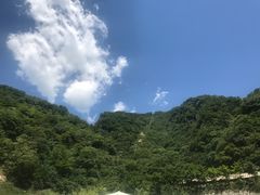 -牛背梁国家森林公园