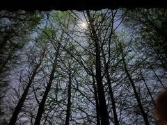 -安徽八里河旅游区