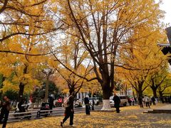 -四川大学(华西校区)