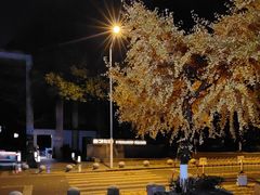 -黔蘑菇四季餐厅(观山湖店)