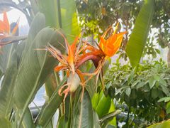 -国家植物园南园