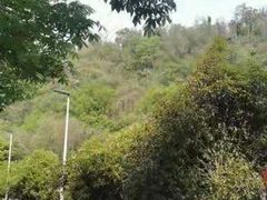 -幕燕滨江·长江观音景区