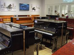 -柏斯音乐艺术中心·钢琴·吉他(世纪金源店)