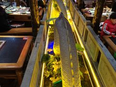 -蜀江龙火锅(339店)