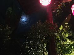 -西安国际创新人才交流中心•药浴温泉