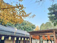 -土灶人家柴火鸡(都江堰店)