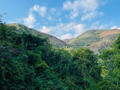 -西双版纳原始森林公园