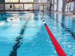 -小海豚国际游泳培训中心(浦东源深体育中心店)