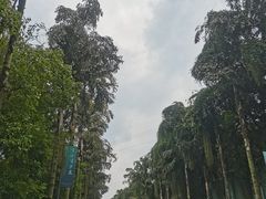 -重庆海昌加勒比海水世界