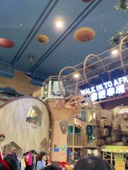 -卡通尼·Safari非洲探索乐园·生日会(金桥国际商业广场店)