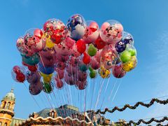 -上海迪士尼度假区