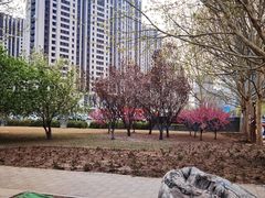 -大望京公园