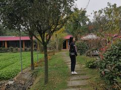 -洪湖家庭农场·团建·露营·会议