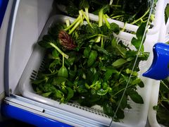 -黔府豆米火锅野菜馆(南马店)