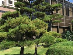 -海云台海滩