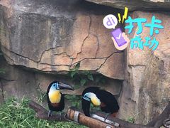 -野生动物园-停车场