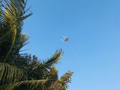 -深圳湾公园(南山区)