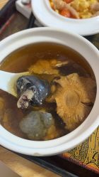 -金月汇月子会所(江门店)