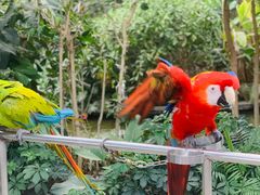 -南宫五洲植物乐园