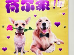 -北京观赏动物医院·24小时大型综合·猫专科·异宠专科