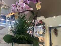 -福田卓悦INTOWN购物中心