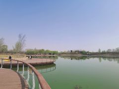-东郊湿地公园