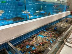 -腾阁自助餐厅(朝林广场店)
