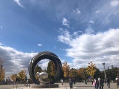 -大兴滨河森林公园