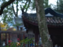 -虞山风景区