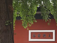 -长春观