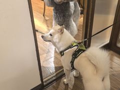 -沏点Trattoria意大利餐厅(新街口店)
