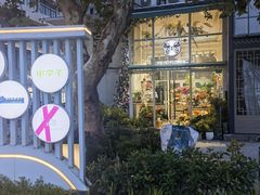 -FEI FEI FLOWER鲜花店·气球派对·宝宝宴布置(虹口德必运动Loft店)