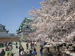 -名古屋城