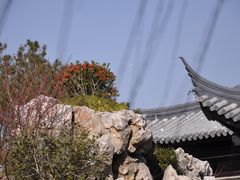 -岳辰齿科(浦东长泰店)