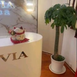 -茜尔维亚修身连锁