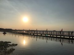 -鹅湖玫瑰文化园