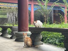 -顺峰山公园