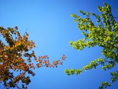 -昆山城市生态森林公园