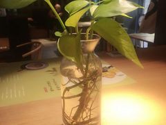 -炖物24章·顺时轻养茶(杭州大厦店)