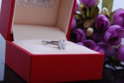 DSC_2032-威德钻石-克拉钻大本营(南京东路店)