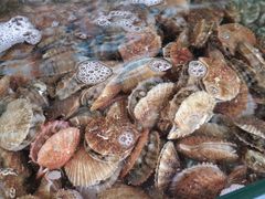 -四海鲜渔家菜(黄金海岸店)