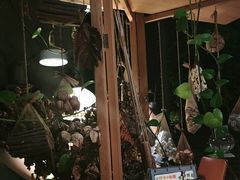 -肴约·花园式餐厅(湖里店)