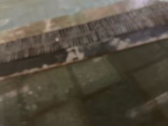 -南宫温泉水世界