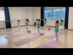 -舞蕾舞蹈(特长生校区)