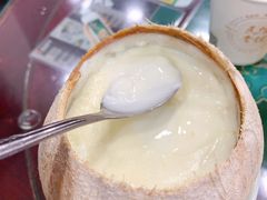 原只椰子炖奶-民信老铺(华盖路店)