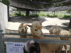 -长廊欢乐园