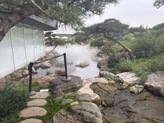 -罗红摄影艺术馆